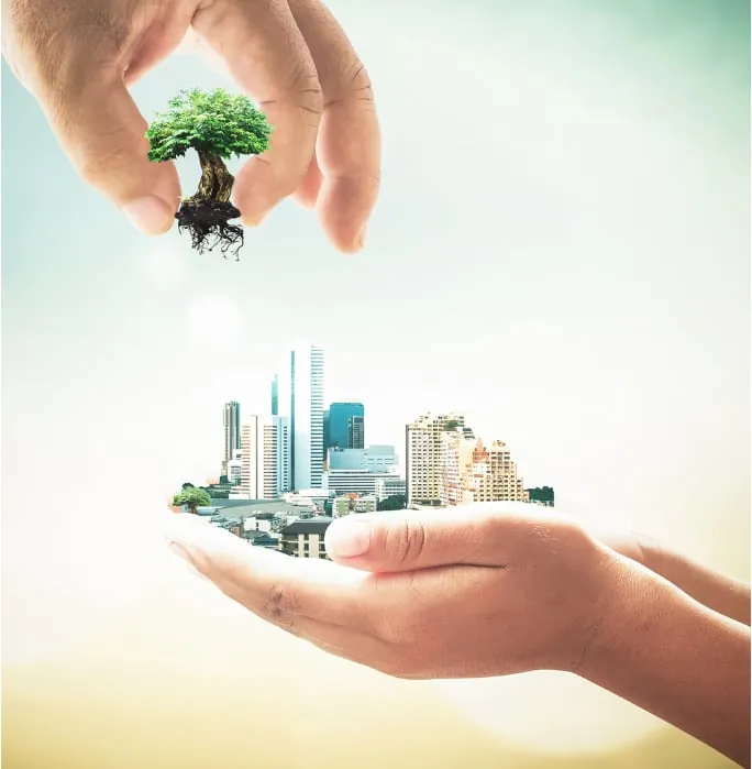Tecnología sostenible: la clave para un futuro más verde en las empresas